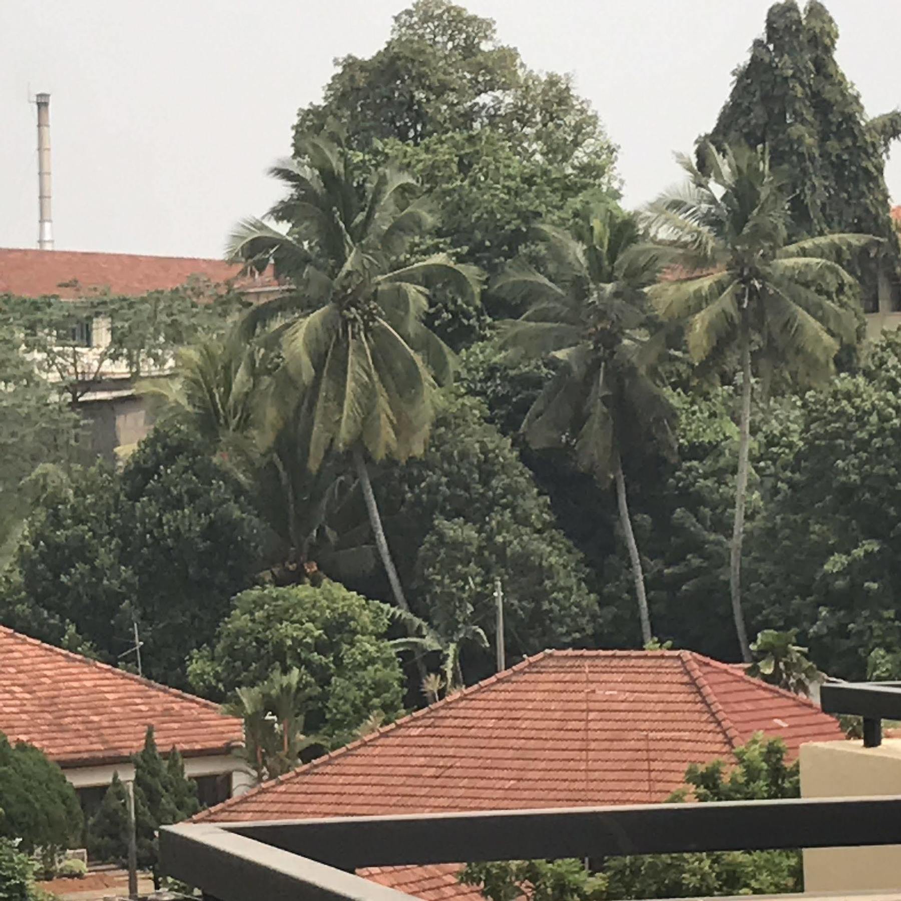 Saninro Hotel - Ragama Esterno foto